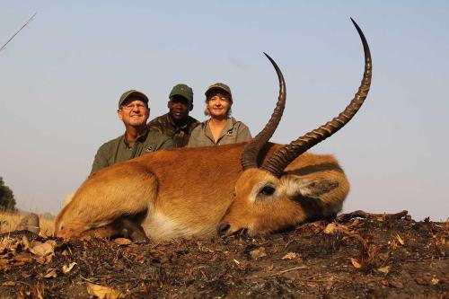 Kafue Lechwe