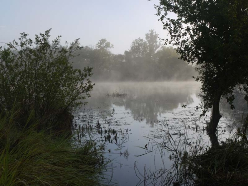 Down by the Kafue river
