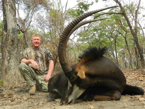 Sable