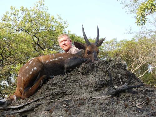 bushbuck