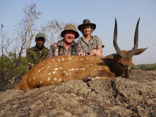 chobe-bushbuck