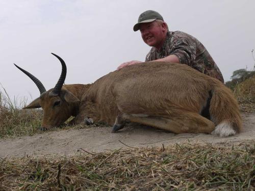 reedbuck